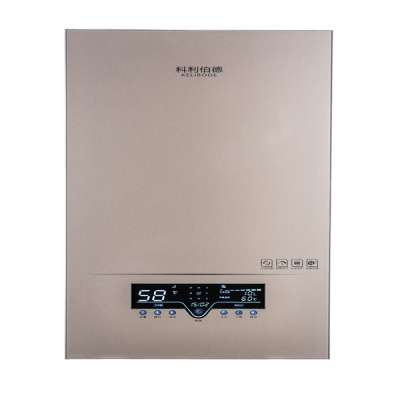 Electric Boiler for Heating and Shower